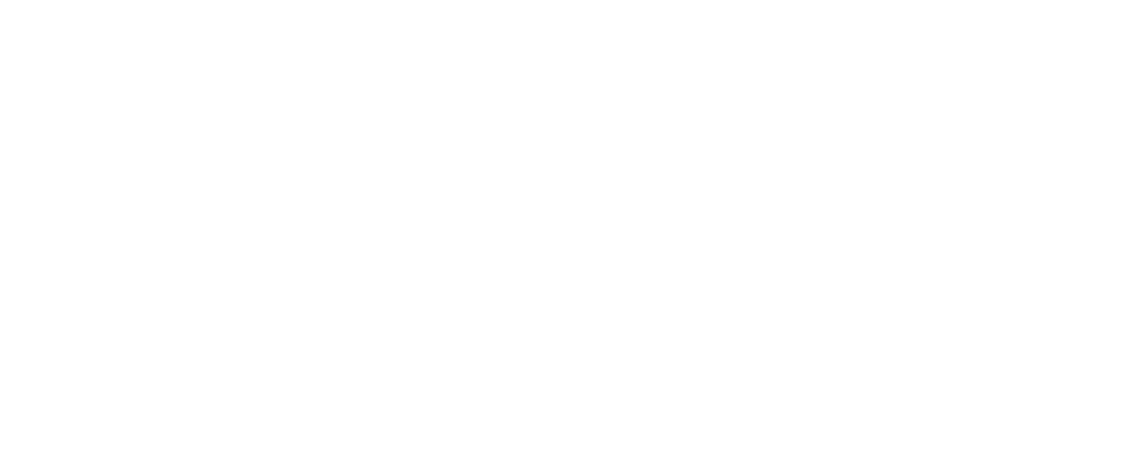 SkyNet Logo